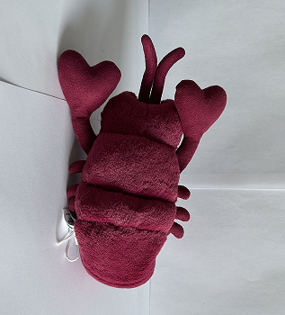 Back view of my third complex object, a lobster plush.