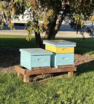 One of my locations from the Spatial Workshop 1, the beehive near the Athletics building.