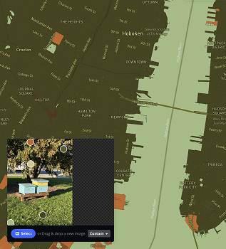 Using the image of the beehive from the Spatial Workshop 1, I explored making a map style in Mapbox Cartogram.